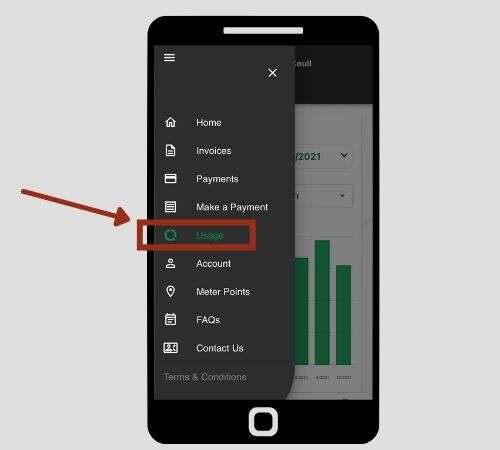 Valda Energy Usage Menu