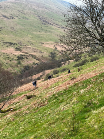 Valda employees planting trees on the Brecon Beacons