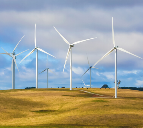 wind turbines in sunny field 