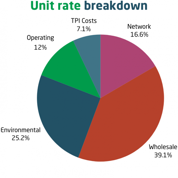 A pie chart of an electricity bill's unit rate cost breakdown. The split is 7.1 for Third-party Intermediary costs, 12% for operating costs, 16.6% for network costs, 25.2% for environmental and 39.1% for wholesale costs. 