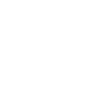 Telephone IVR