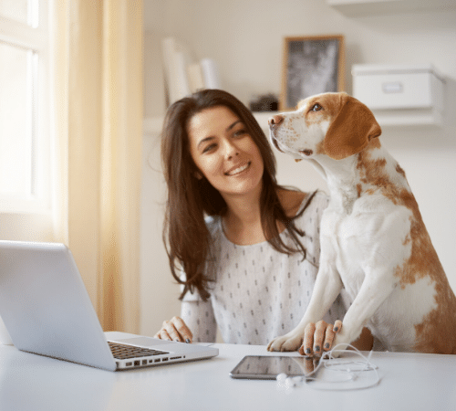 Person and their pet dog working from home