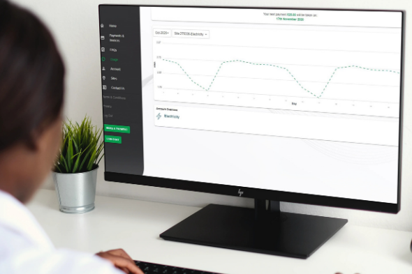 Valda Energy Customer Portal Usage Charts