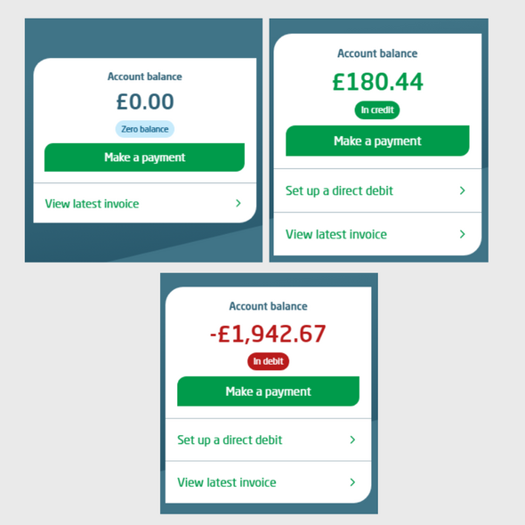 account-balances-on-customer-portal
