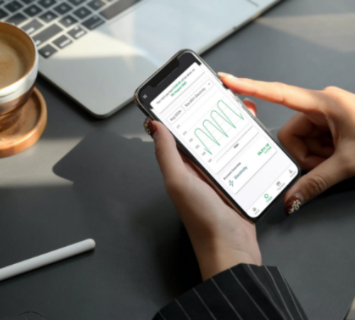 Valda Energy Customer Portal Usage Charts on mobile device