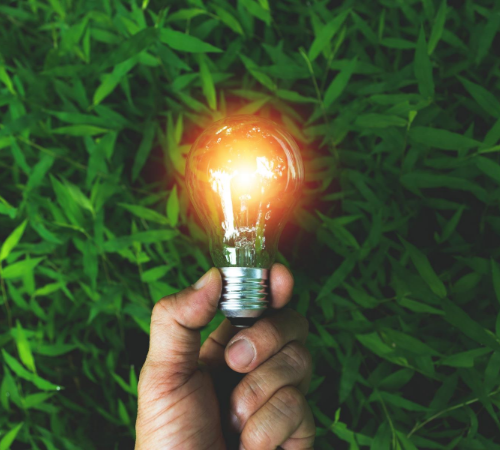 green energy for business light bulb