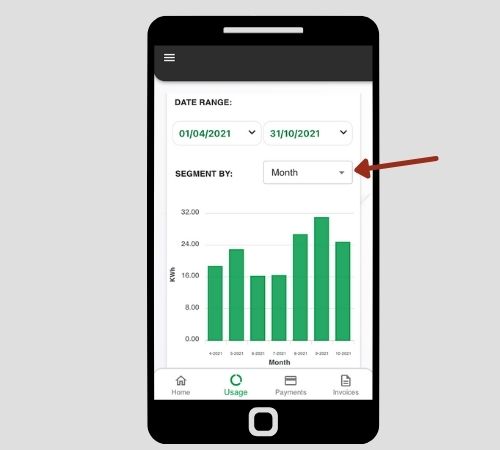 Valda Energy Usage Segment By