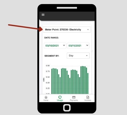 Valda Energy Usage Meter Points