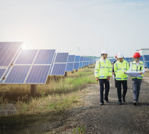 solar panels with workers
