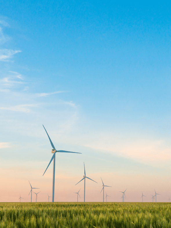 Wind turbines in a field
